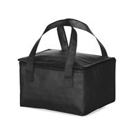 Bolsa Térmica 10 Litros em TNT Personalizada