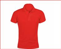 Camisa Polo Feminina Piquet PA